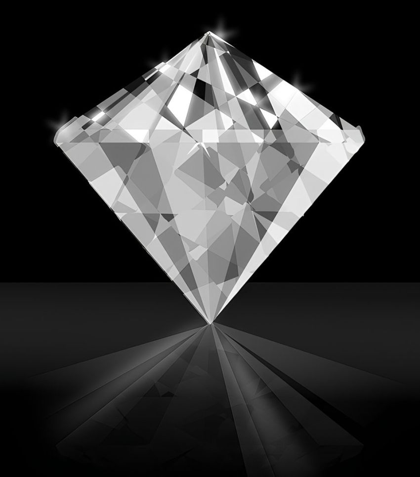 envato-labs-image-edit (15)1
